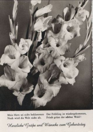 zum Geburtstag Blüten zum Geburtstag Blüten