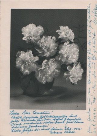 Blumen in Vase Blumen in Vase