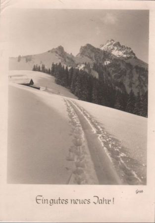 Gutes neues Jahr Schneelandschaft Gutes neues Jahr Schneelandschaft