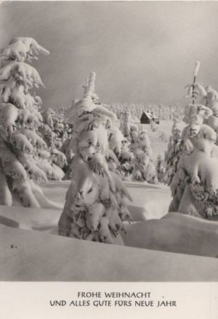 Frohe Weihnacht Bäume unter Schnee Frohe Weihnacht Bäume unter Schnee