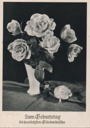 Zum Geburtstag Rosen Zum Geburtstag Rosen