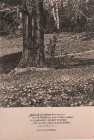 Frohe Ostern Max Herrmann Frohe Ostern Max Herrmann