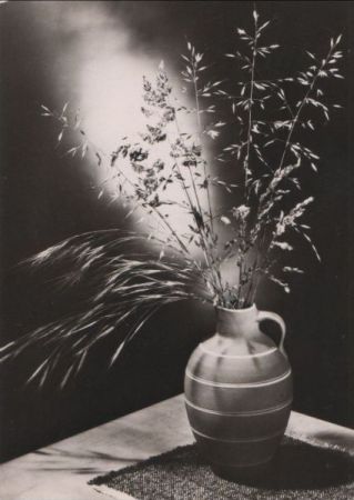 Zum Geburtstag Gräser Zum Geburtstag Gräser