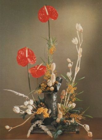 Anthurien Arrangement Anthurien Arrangement