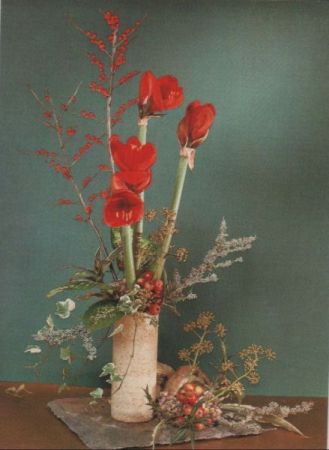 Amaryllis Arrangement Amaryllis Arrangement