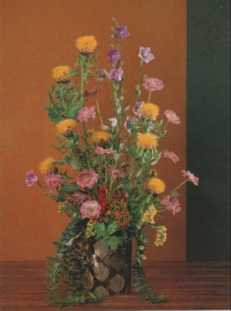 Scabiosen Arrangement Scabiosen Arrangement