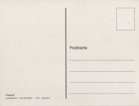 Fingerhut Arrangement Fingerhut Arrangement