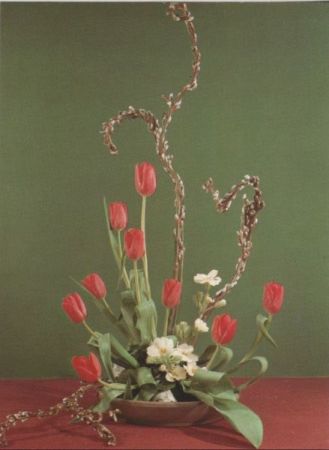 Tulpen Arrangement Tulpen Arrangement