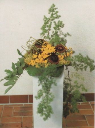 Chrysanthemum Florist-Meisterprüfung Chrysanthemum Florist-Meisterprüfung