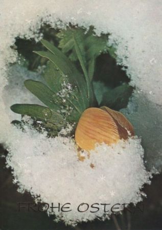 Frohe Ostern Neuschnee Frohe Ostern Neuschnee