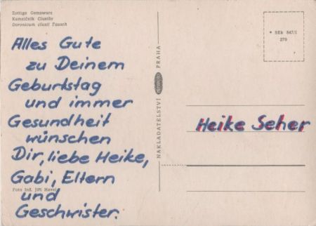 Zottige Gemswurz Gebirge
