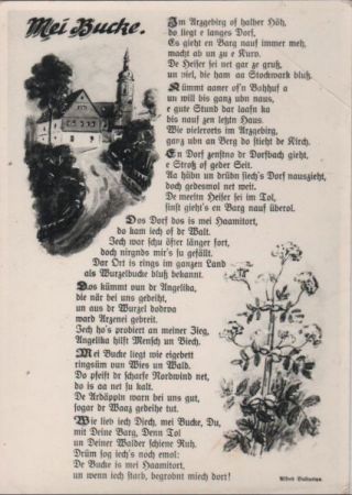 Mei Bucke Bild und Text Mei Bucke Bild und Text