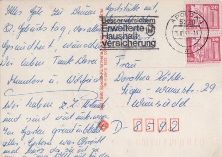 Hund mit viel Fell Hund mit viel Fell