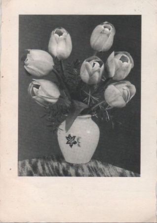 Blumenstrauß in Vase Blumenstrauß in Vase
