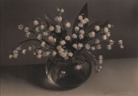 Glückwunsch zum Geburstag Blumen Glückwunsch zum Geburstag Blumen