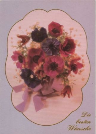 Die besten Wünsche Blumen Die besten Wünsche Blumen
