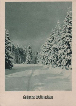 Gesegnete Weihnachten Winterlandschaft Gesegnete Weihnachten Winterlandschaft