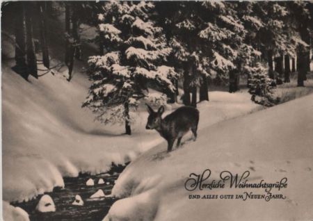 Herzliche Weihnachtsgrüße Winterlandschaft Herzliche Weihnachtsgrüße Winterlandschaft