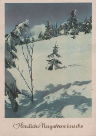 Neujahrswünsche Winterbild Neujahrswünsche Winterbild