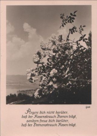 Ärgere dich nicht darüber Sinnspruch Ärgere dich nicht darüber Sinnspruch