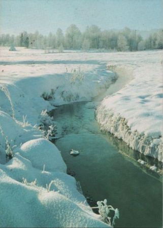 Bach im Winterschnee Bach im Winterschnee