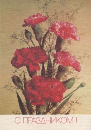 Blumen in rot Blumen in rot