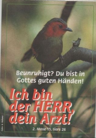 Der Herr dein Arzt 2. Mose Der Herr dein Arzt 2. Mose