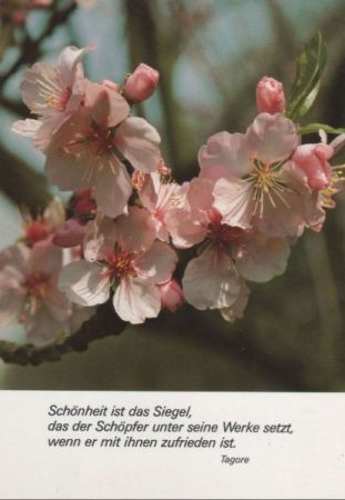 Schönheit ist das Siegel - Tagore Schönheit ist das Siegel - Tagore