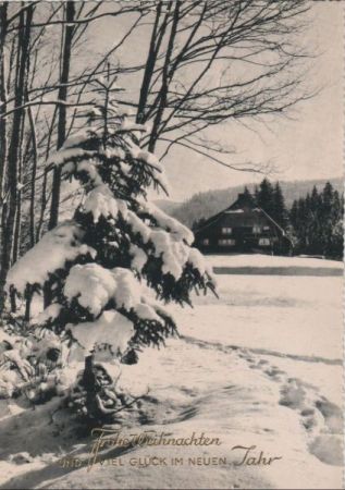 Frohe Weihnachten Winterbild Frohe Weihnachten Winterbild