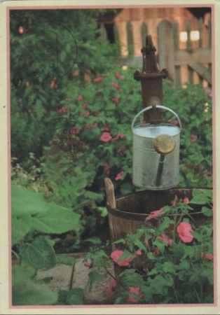Gießkanne im Garten Gießkanne im Garten