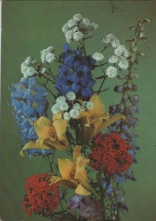 Blumen bunt Blumen bunt