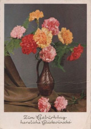 Zum Geburtstag Blumen Zum Geburtstag Blumen
