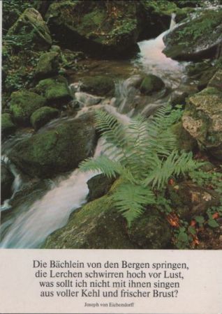 Ein Bächlein von den Bergen Sinnspruch Ein Bächlein von den Bergen Sinnspruch