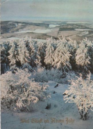 Im Neuen Jahr Winterwald Im Neuen Jahr Winterwald