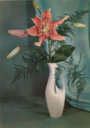 Blume in Vase Blume in Vase