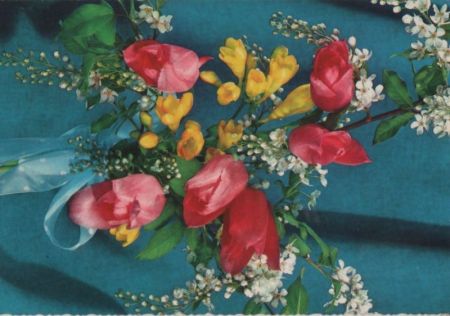 Blumen verschiedenfarbig Blumen verschiedenfarbig
