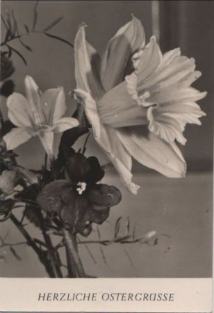 Herzliche Ostergrüße Blumen Herzliche Ostergrüße Blumen