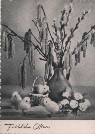 Fröhliche Ostern Küken Fröhliche Ostern Küken