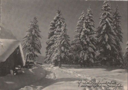Frohes Weihnachtsfest Winterschnee Frohes Weihnachtsfest Winterschnee