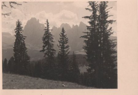 Wald und Gebirge Wald und Gebirge