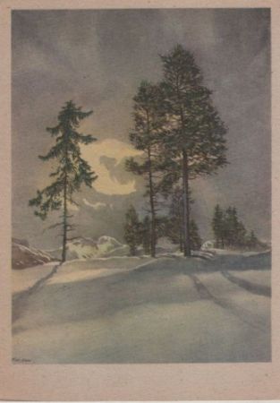 Bäume im Winter Bäume im Winter