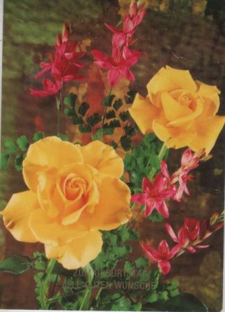 Zum Geburtstag Rosen Zum Geburtstag Rosen