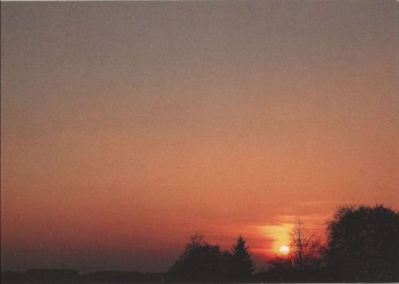 Sonnenuntergang Bäume Sonnenuntergang Bäume