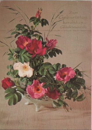 Zum Geburtstag Blumen Zum Geburtstag Blumen