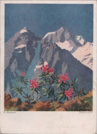 E. Stegmann Alpenrosen E. Stegmann Alpenrosen