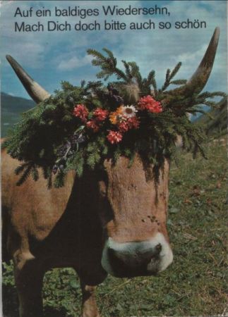 Auf ein baldiges Wiedersehen Kuh Auf ein baldiges Wiedersehen Kuh