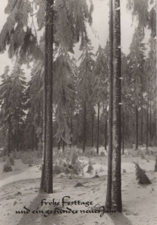 Frohe Festtage Winterwald Frohe Festtage Winterwald
