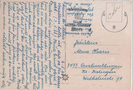 Wacholderdrossel auf Zweig Wacholderdrossel auf Zweig