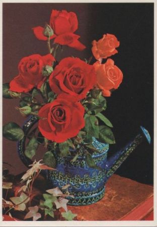 Rosen und Gießkanne Rosen und Gießkanne