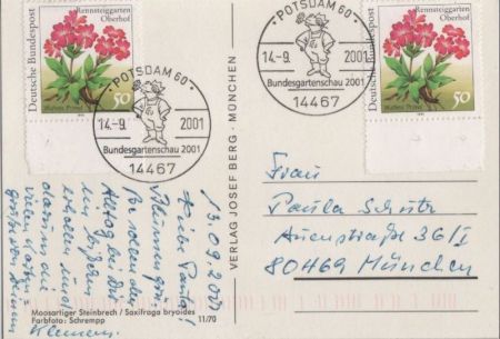Moosartiger Steinbrech Sonderstempel Moosartiger Steinbrech Sonderstempel